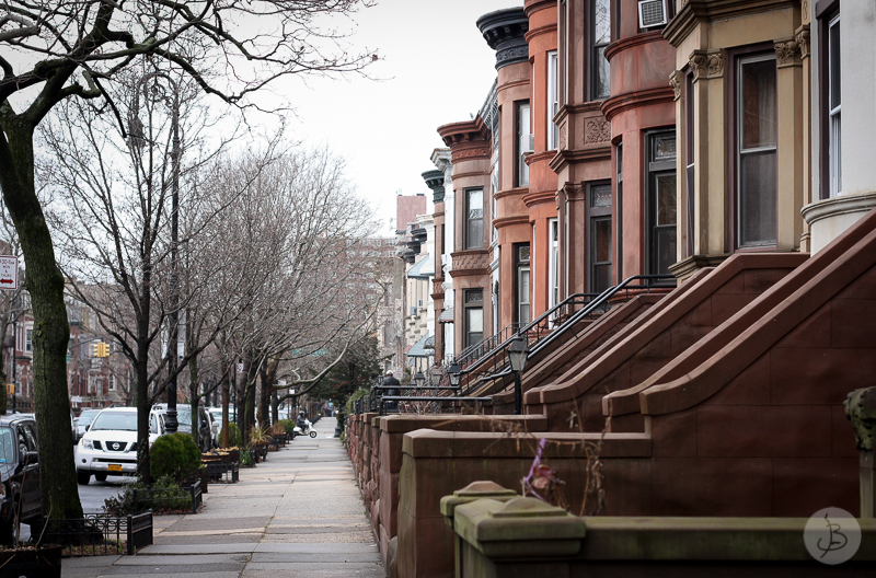 This is a photograph of the 'Street life in NYC' article!