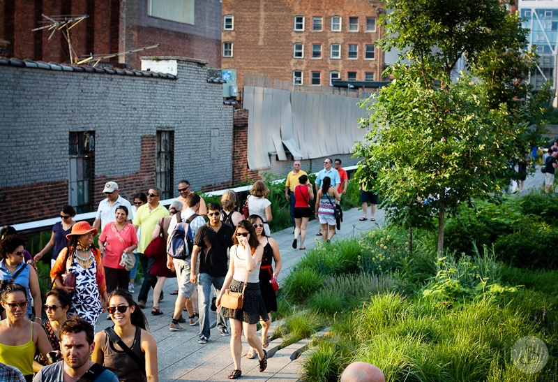 This is a photograph of the 'High Line views' article!