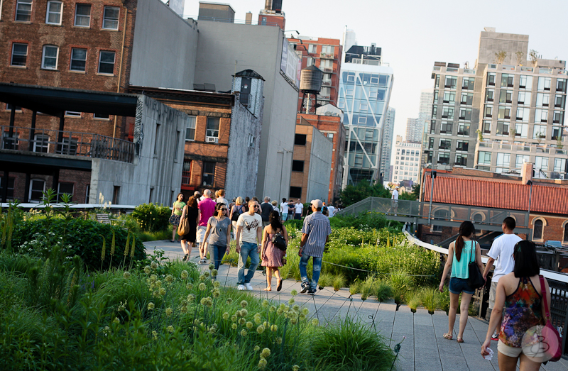 This is a photograph of the 'High Line views' article!