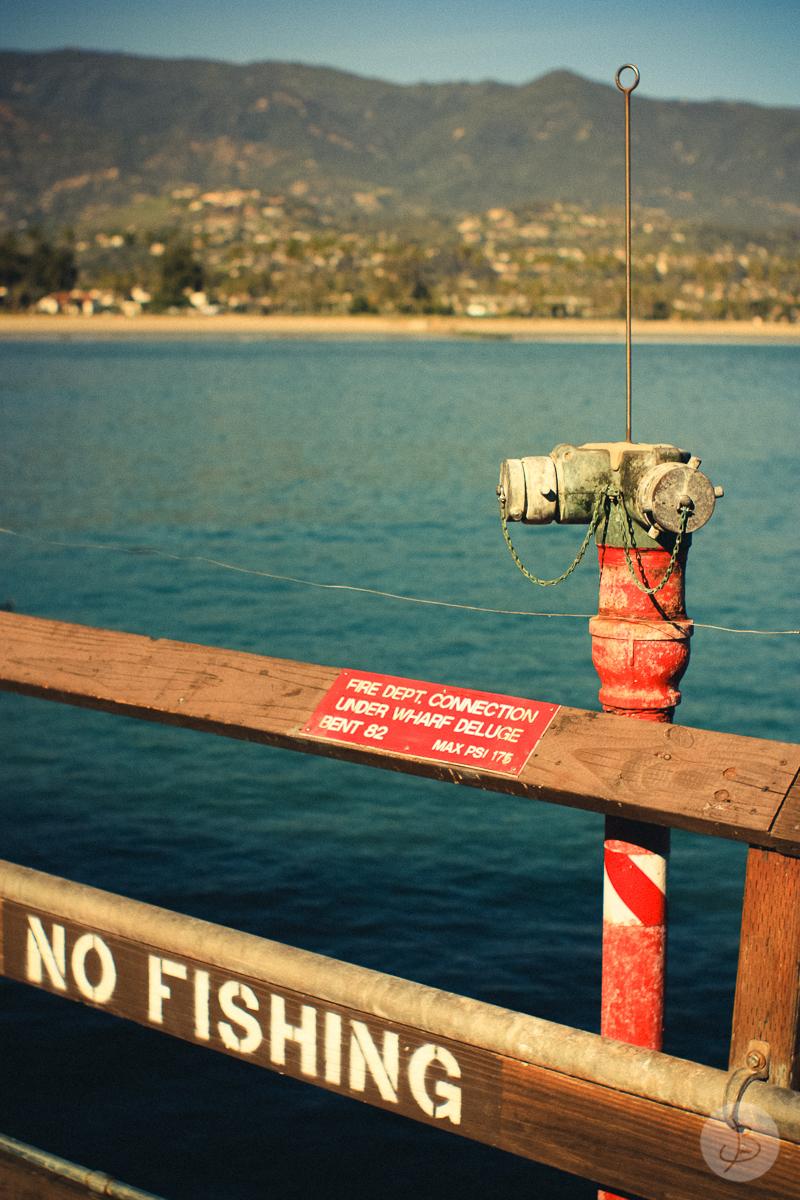 This is a photograph of the 'Loves from Santa Barbara' article!